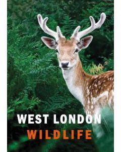 West London Wildlife