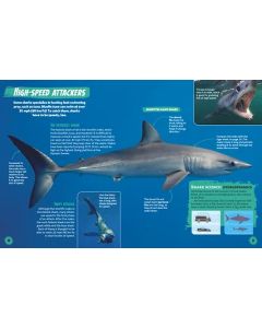 Shark! Mighty Creatures of the Deep in Action