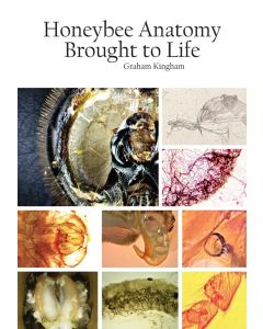 Honeybee Anatomy Brought to Life