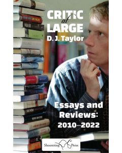 Critic at Large : Essays and Reviews 2010-2022