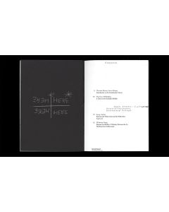 Brian O'Doherty/Patrick Ireland