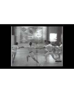 Aesthetics of Ambiguity, The