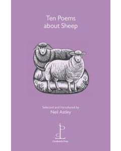 Ten Poems about Sheep: Volume One