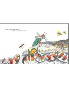 African Orchestra, The