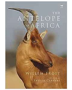 Antelope of Africa, The