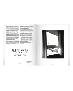 Aperture 238 Spring 2020