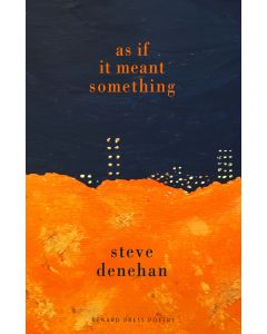 As if it Meant Something