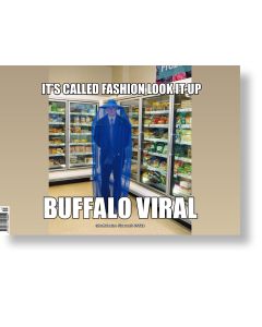 Buffalo Zine 13 2021  Buffalo viral