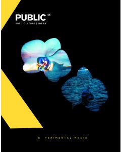 Public 44 Winter 2012 E Perimental Media