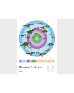 Dinosaur Evolution Poster