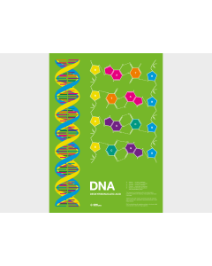 DNA Poster