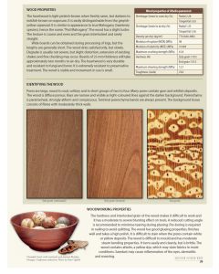 Guide to the Properties and Uses of Southern African Wood