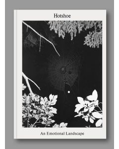 Hotshoe 209 An Emotional Landscape