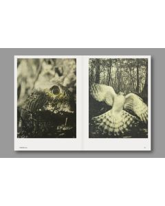 Hotshoe 209 An Emotional Landscape