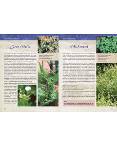 Indigenous Healing Plants