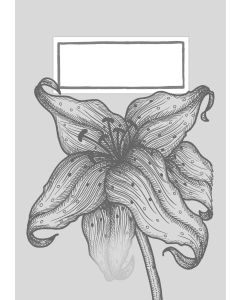 In Memoriam: Thirty Poems of Bereavement