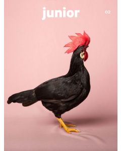 Junior 02 Winter 2017-2018