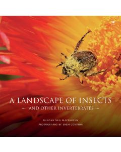 Landscape of Insects, A