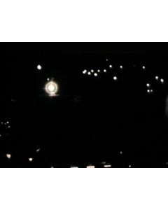 Late Birds: Sara Preibsch