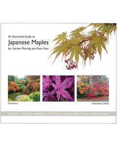 Illustrated Guide to Japanese Maples for Garden Planting and