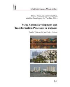 Mega-Urban Development and Transformation Processes in