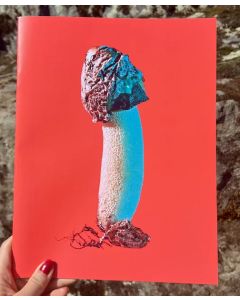Mushrooms and Friends Zine