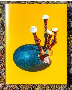 Mushrooms and Friends Zine 4