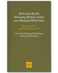 Five Ways of Being a Painting and other essays