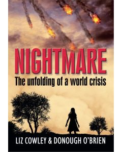 Nightmare: the unfolding of a world crisis