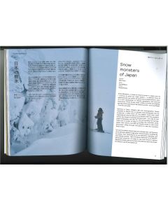 Niwaki Field Report No  2 2025