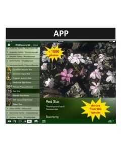 Photo Guide to the Wildflowers of South Africa