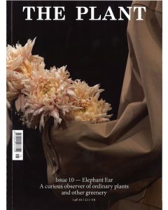 Plant 10 Winter 2017