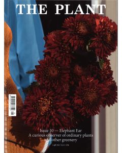 Plant 10 Winter 2017