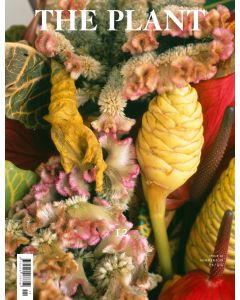 Plant 12 Summer 2018