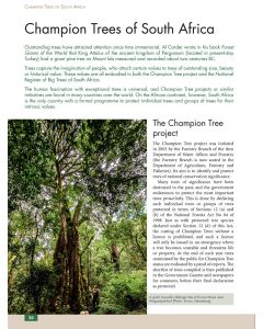 Remarkable Trees of South Africa