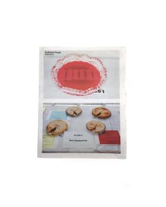 Rhubarb Triangle Zine, The