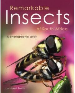 Remarkable Insects of South Africa: A Photographic Safari