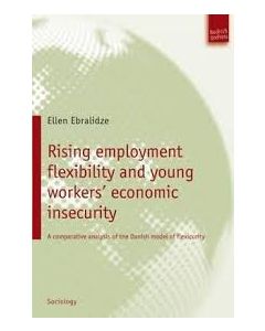 Rising employment flexibility and young workers' economic