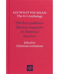 Say What You Mean: The n+1 Anthology