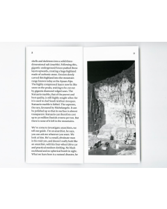 Anarchists from the White Mountains, The