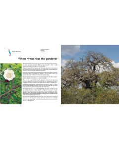 Site-by-site guide to trees in the Kruger National Park, A