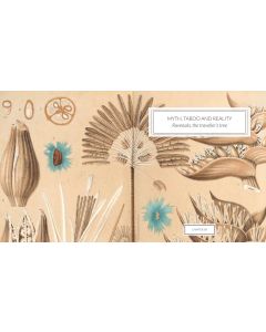 Strelitzias of the World