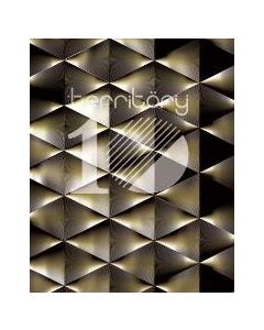 Territory Voume 10 October 2009 Cubes