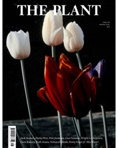 Jack Davison (tulips) cover