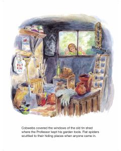 Professor's Garden, The