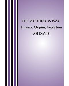 Mysterious Way, The