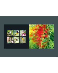 Visions of The Bahamas