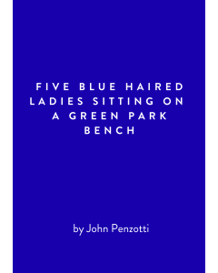 Five Blue Haired Ladies Sitting on a Green Park Bench