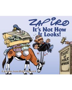 It's Not How It Looks! Zapiro Annual 2022