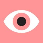 AIGA / Eye On Design Magazine